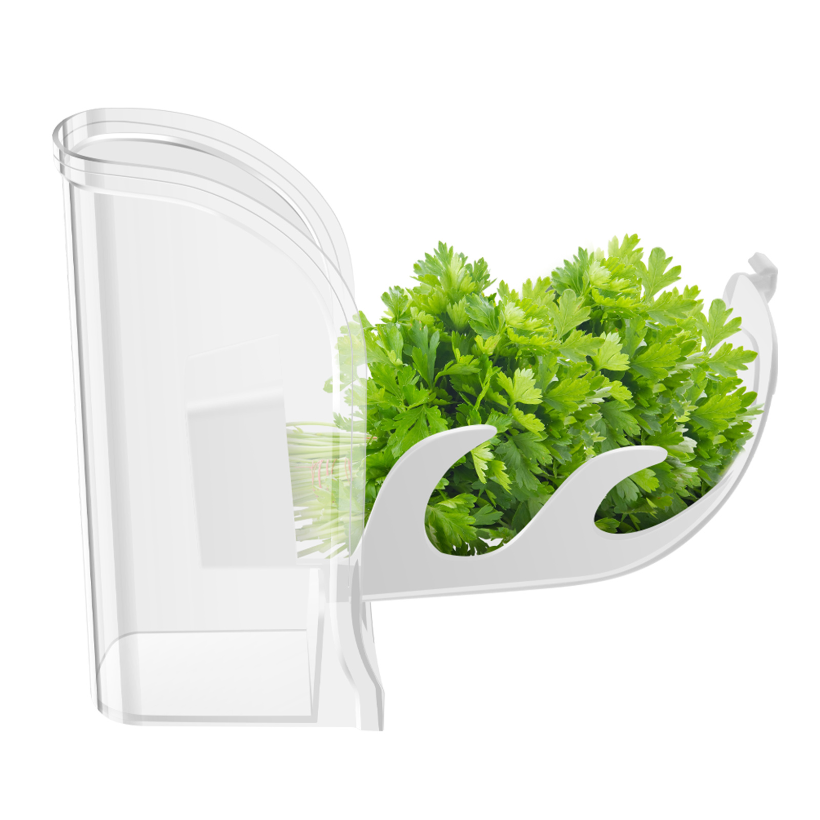 Herb Crisper Saver Container R - Kitchen Gadgets Modern recension och pris