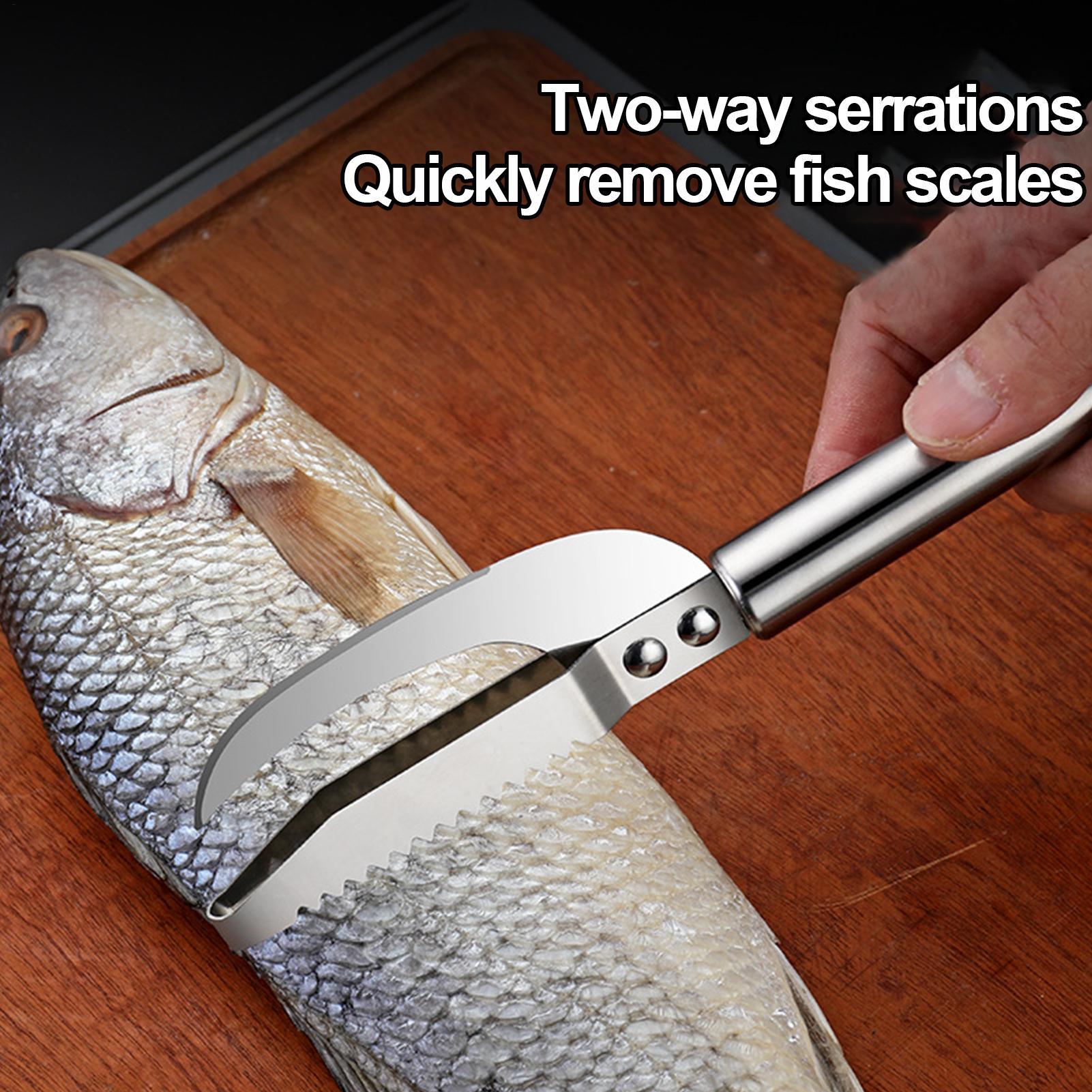 Fish Scale Remover Knife Picki - Kitchen Gadgets Everyone Needs recension och pris